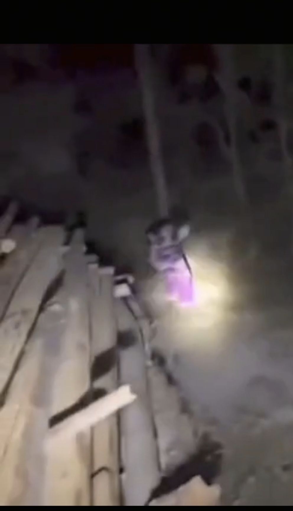 老哥们这什么东西啊出来上厕所转头一看这东西跟着我

84 / 作者:ㅤ林余赚钱 / 