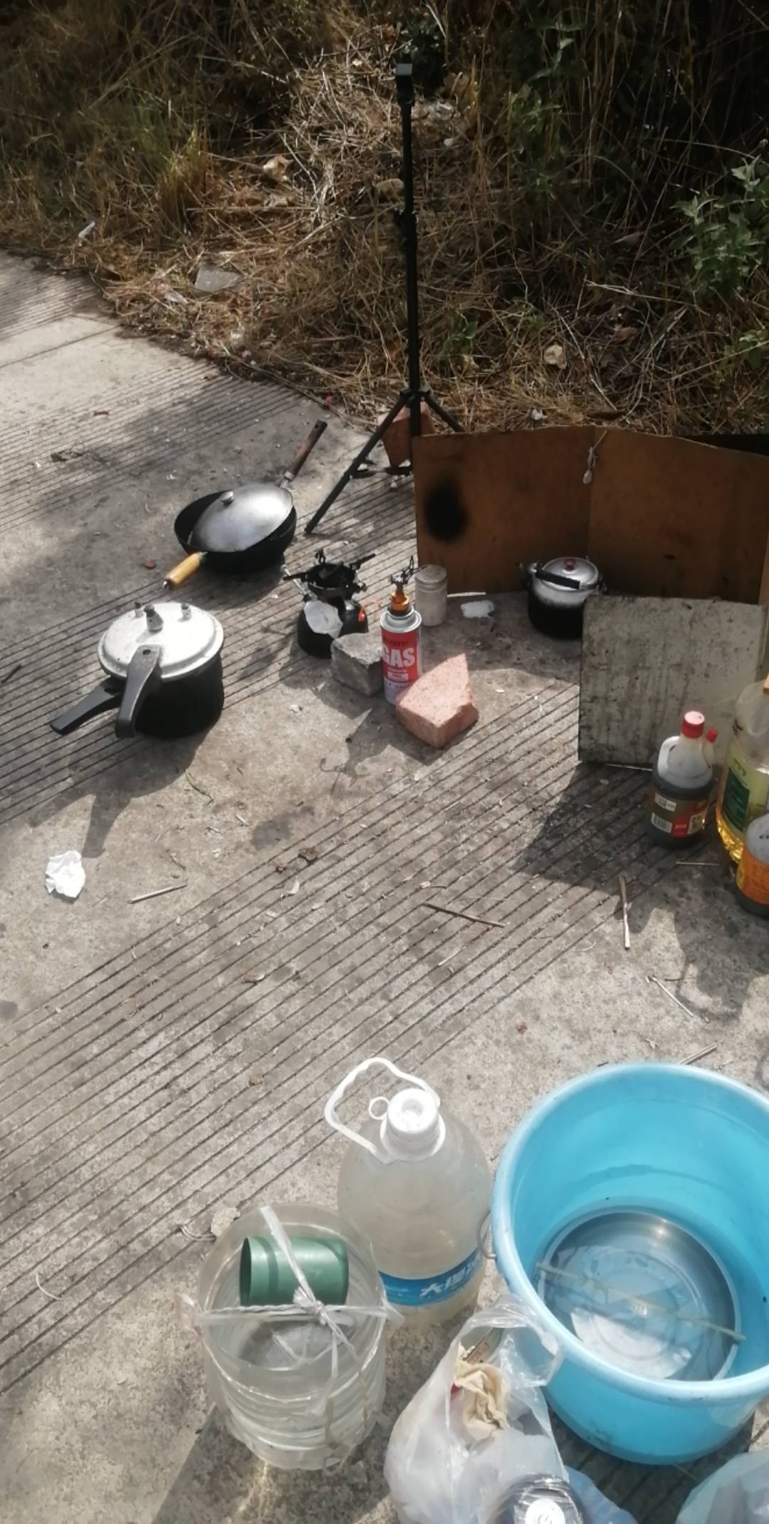 深工抢购又正常了？日塌马以为和2月一样只有1期！又没定闹钟

99 / 作者:卡农新来的 / 