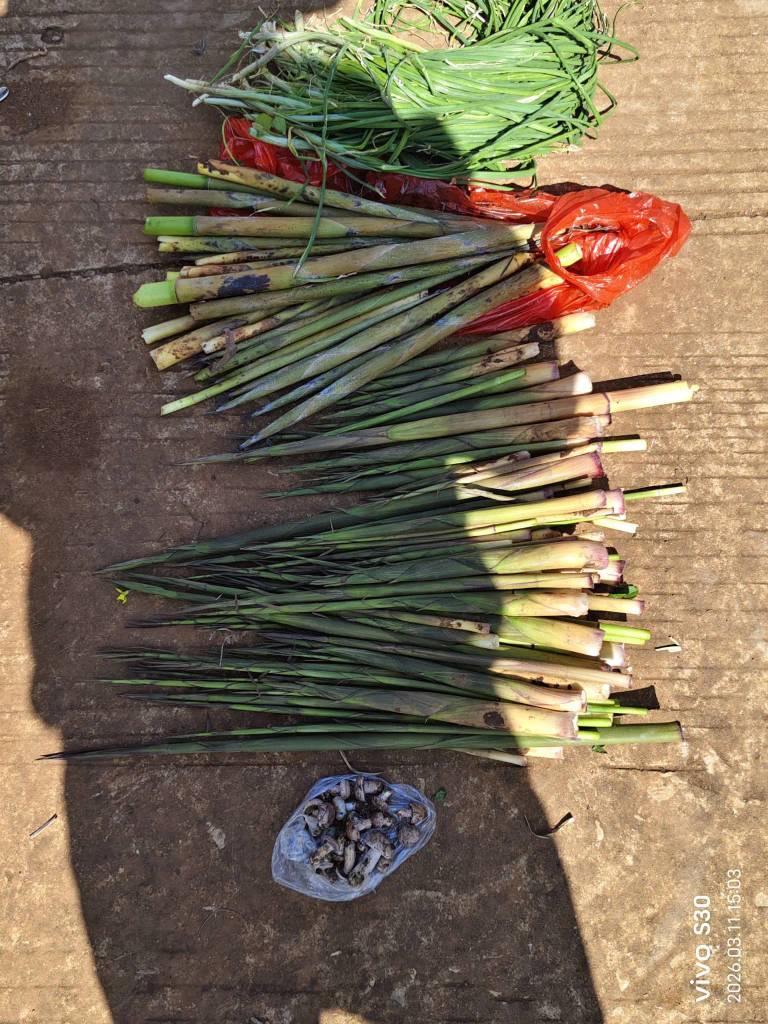 老哥，我又躺平了，扯扯竹笋扯，挖挖折耳根，又是一天


47 / 作者:果然一道 / 