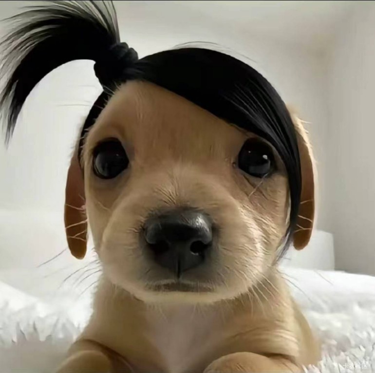 好饿啊老哥们感冒发烧好难受啊，三天了都87 / 作者:我爱罗c / 