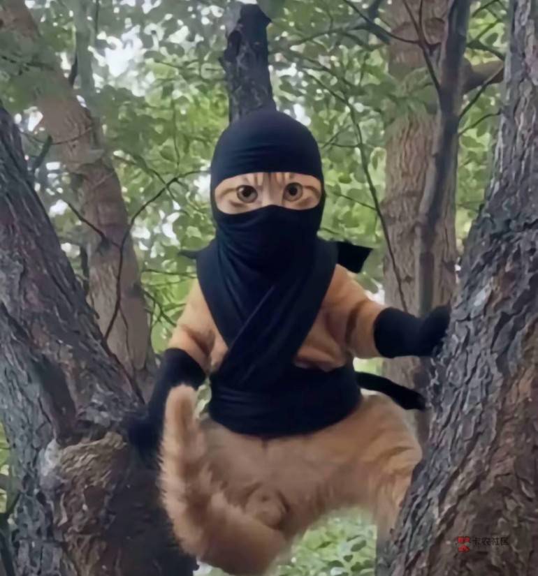 好饿啊老哥们感冒发烧好难受啊，三天了都94 / 作者:我爱罗c / 