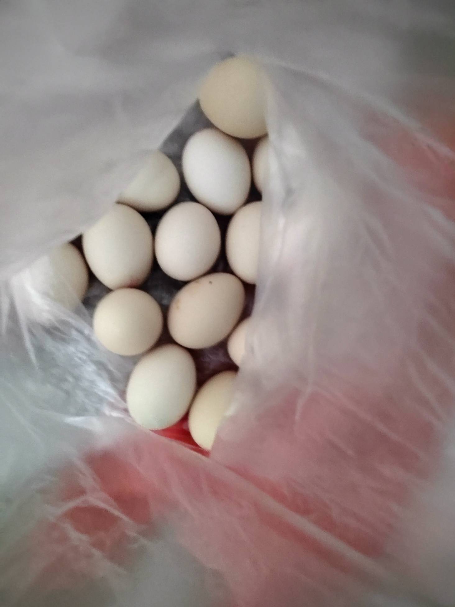老哥们，想吃蛋炒饭了，饭太少了，加8个鸡蛋可以吗？


37 / 作者:可8885 / 