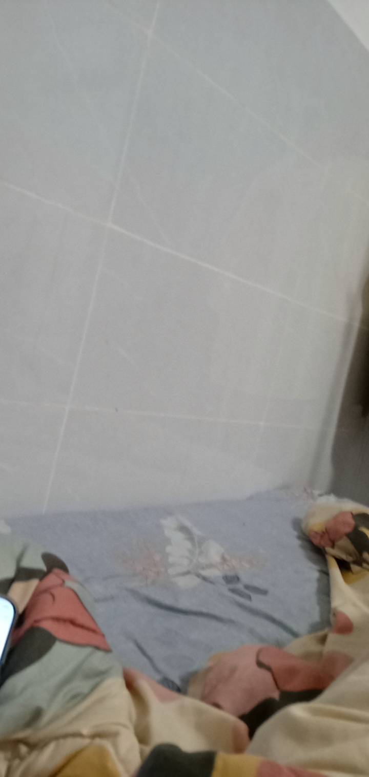 老哥们隔壁小j姐真礼貌 下午敲门说 广州的房子都不隔音麻烦晚上不要在家里叮叮当当的46 / 作者:你家徐大爷 / 