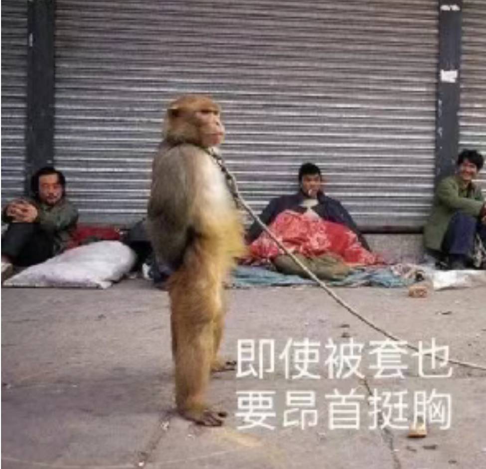 陨落了老哥们。



65 / 作者:东八区大佬 / 