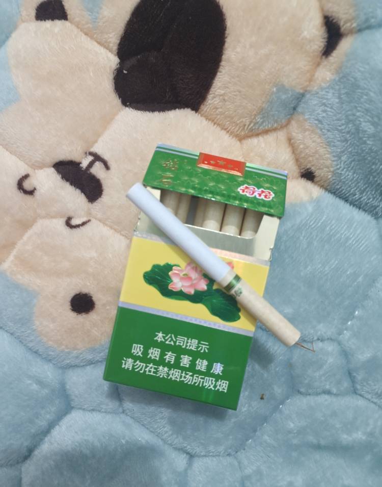 老哥，我想问一下，父母吵架、弟弟连自己的孩子学费都交不起(午餐、学校托管费等)，在22 / 作者:挂壁哥 / 