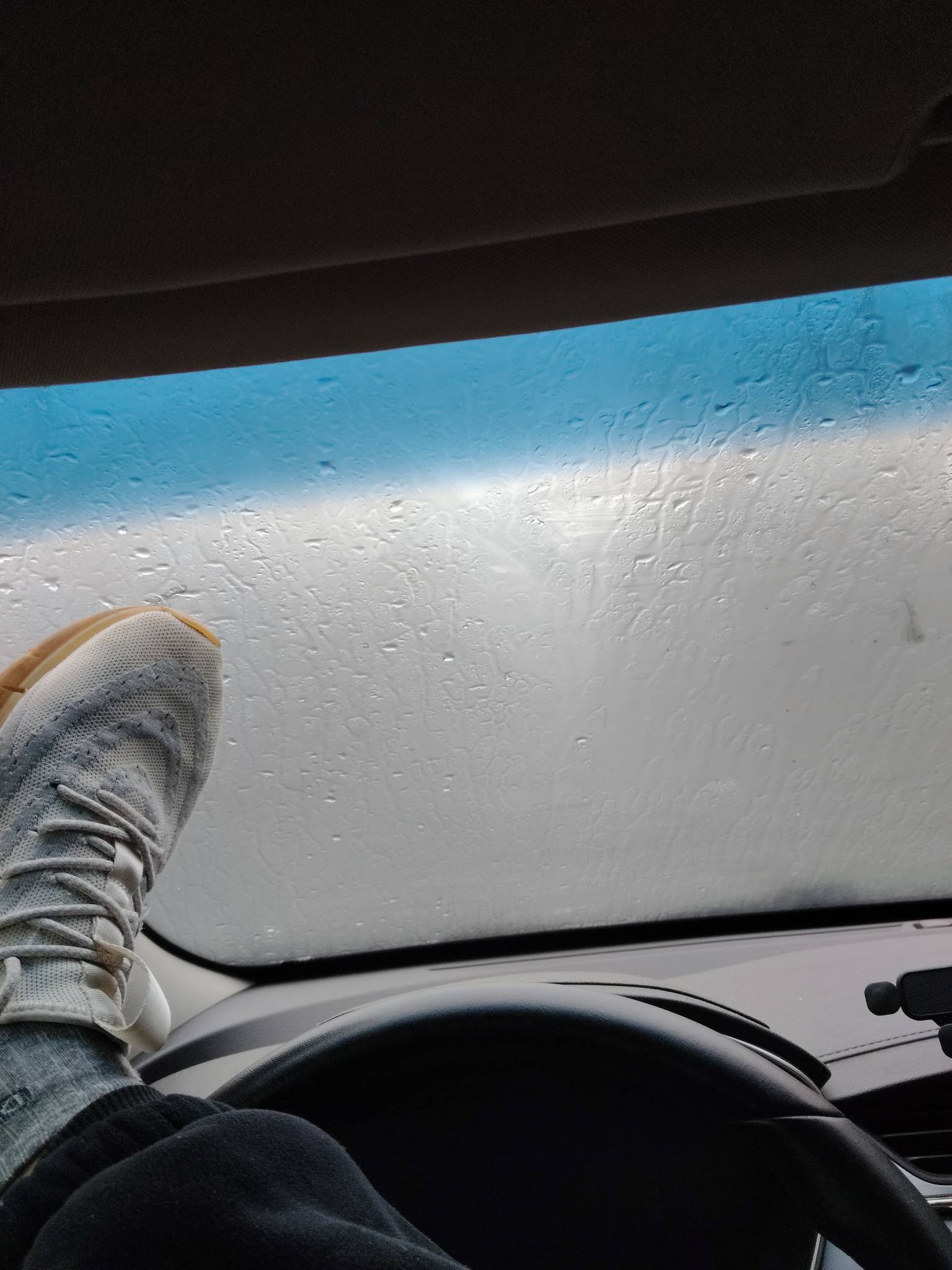 老哥们  我躺下了

84 / 作者:扎巴头 / 