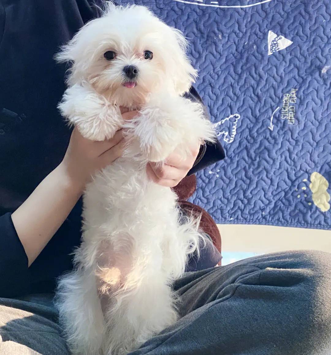 热狗拉满了，希望可以有点利润，这几天太沉寂了

45 / 作者:顾小贝 / 