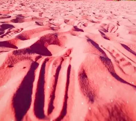 豆包搜拘留体检是免费的，但是今天告诉我需要自费，关键我看那价格不低200到500，明天4 / 作者:赋能 / 