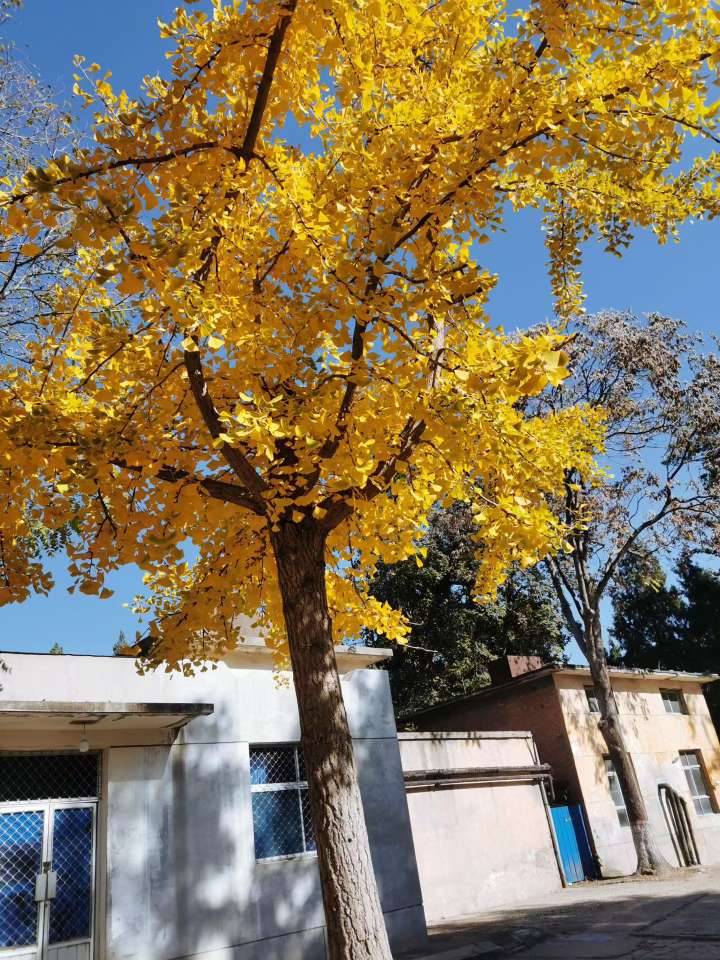 来卡农这么多年了，还没有薅过羊毛。前些年记得有一次搞那个建行的什么企业，法人名字27 / 作者:湖南大哥。 / 