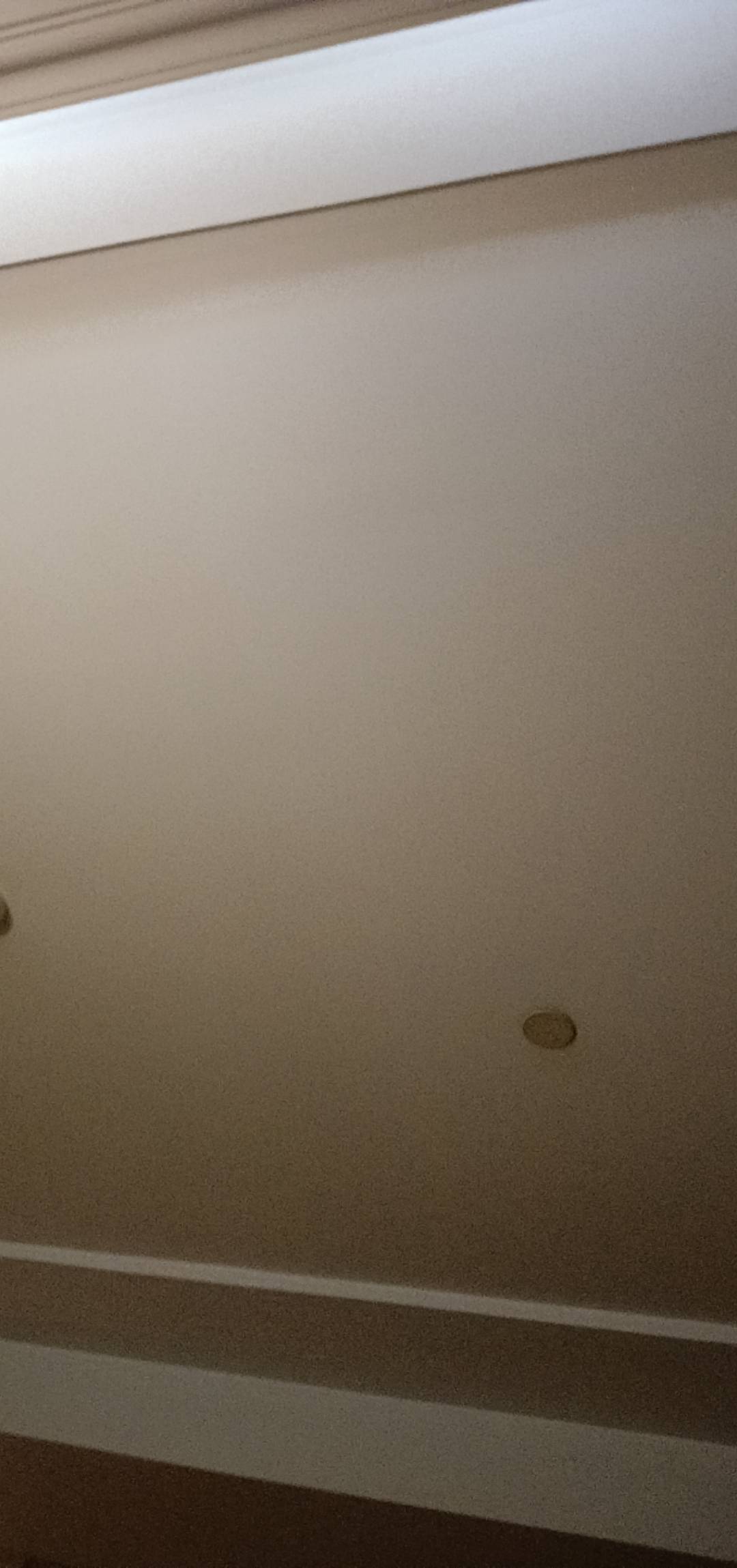 我女，在上海工作，财务，芝麻分780，上海工作流水3年，有五险一金，每月工资打卡！有20 / 作者:布丁999 / 