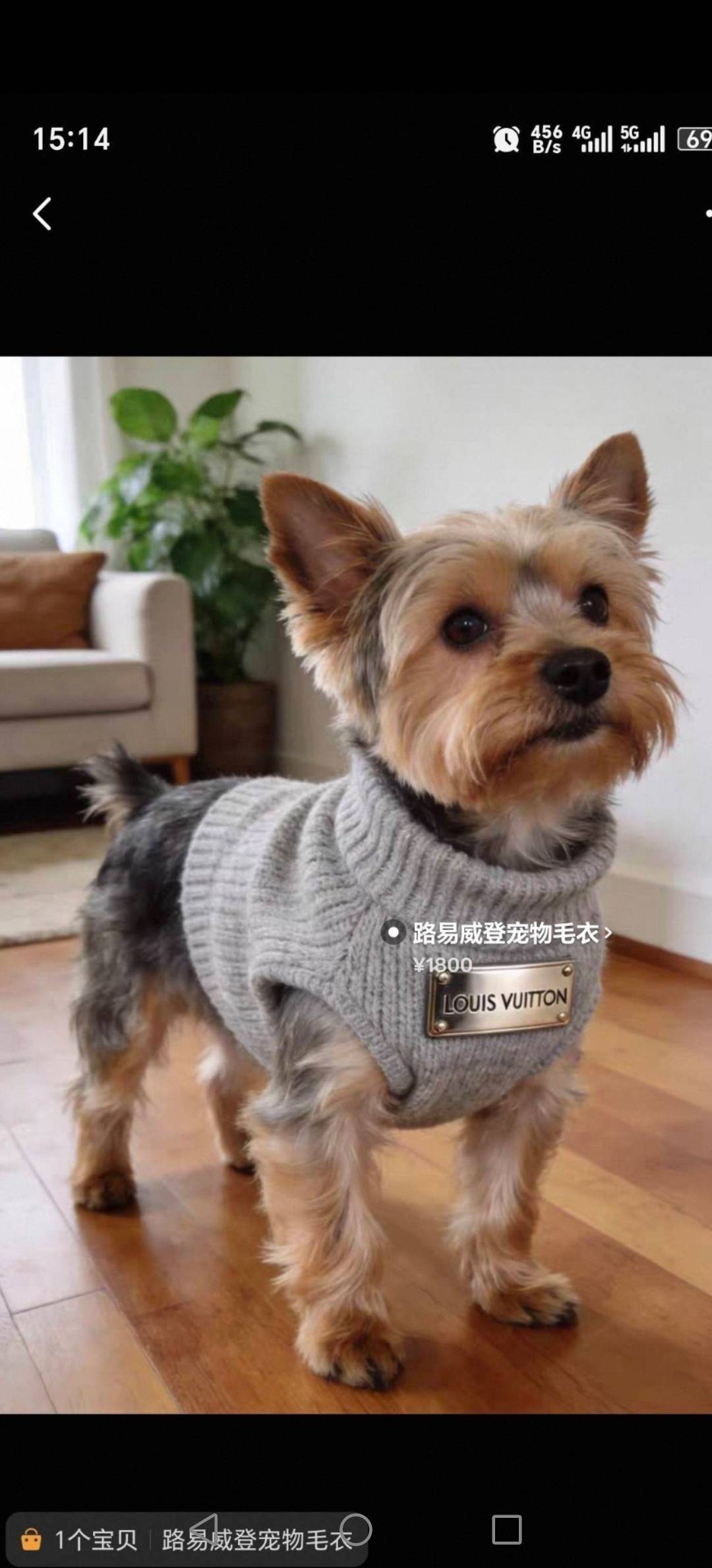 老哥们用这个，很容易出18

11 / 作者:挂壁老哥饿了mm / 