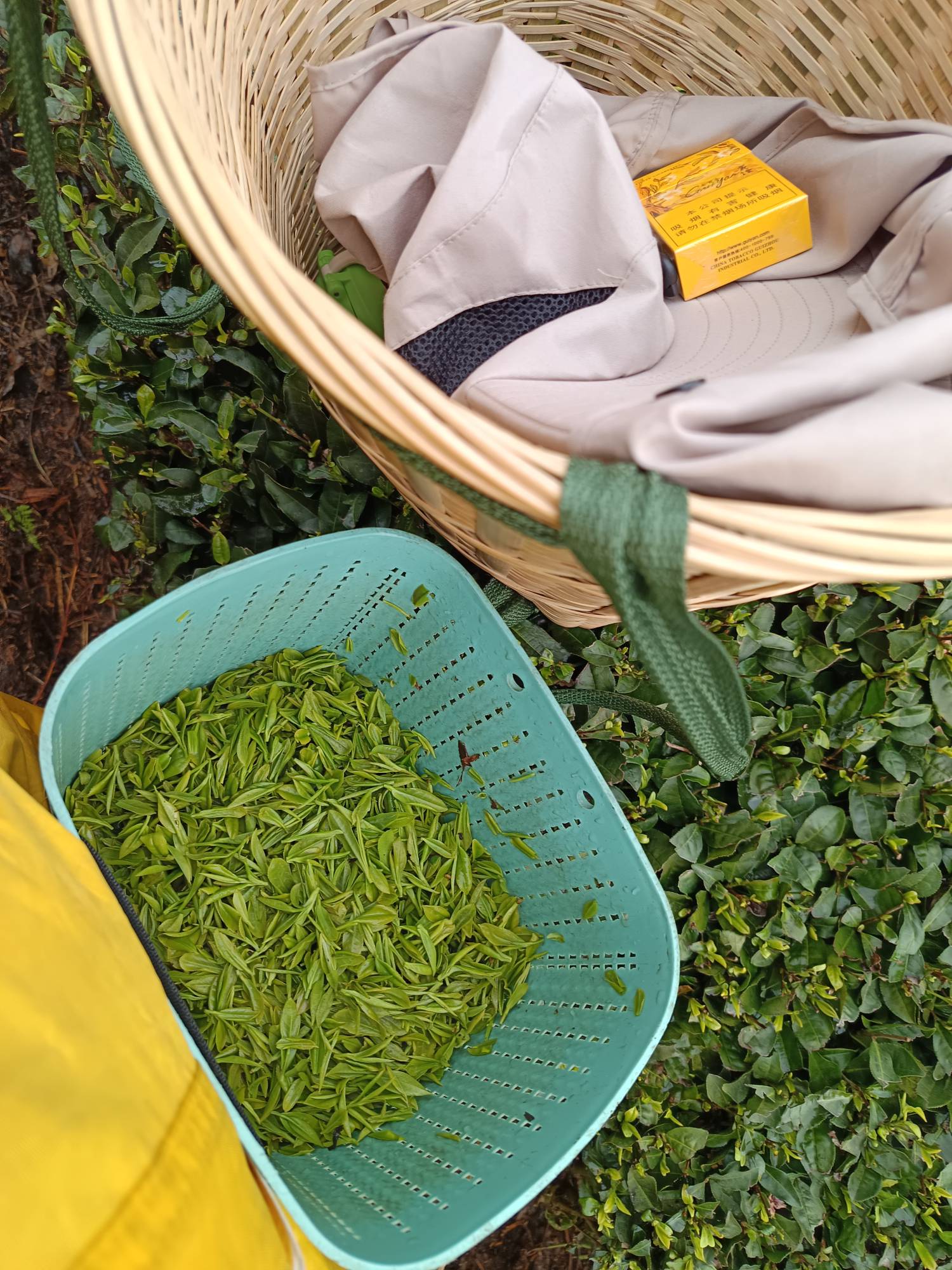 你们在申请毛，我在讨茶叶


34 / 作者:浪花的泡沫、 / 