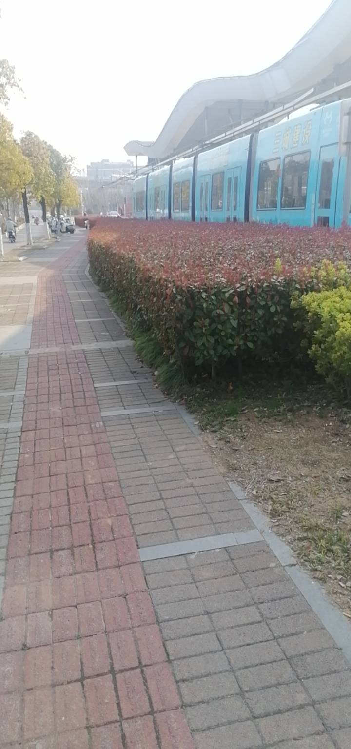 饿的受不了了，去10公里外阿玛那蹭了顿饭，拿了几包烟，顺便爆了点金币。

22 / 作者:故事大王磨推鬼 / 