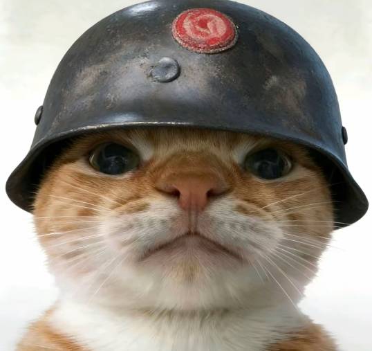 好久没有被老哥天选了，之前每个月都会被天选66和88，真怀念那些红的老哥啊

87 / 作者:理理理66 / 