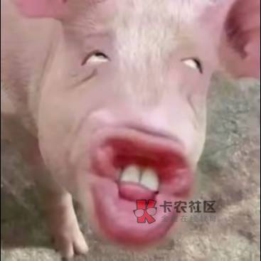 东莞老农夹娃娃，不用飞，3毛，特邀
【中国农业银行】趣味夹好礼活动更新上线，本月邀12 / 作者:@狂战 / 