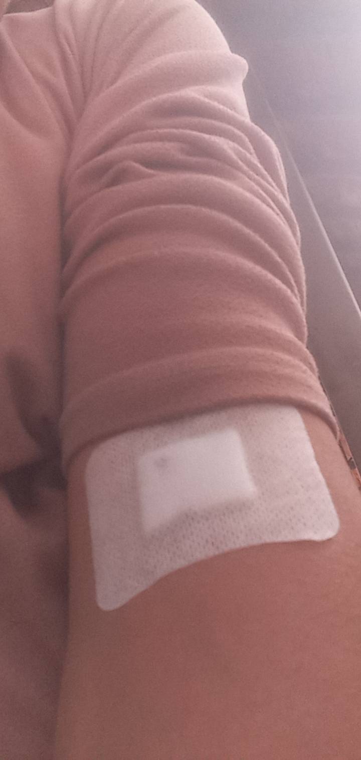 刚才献血，给了壶油，卖了40毛，家人们！

65 / 作者:梅花香开 / 