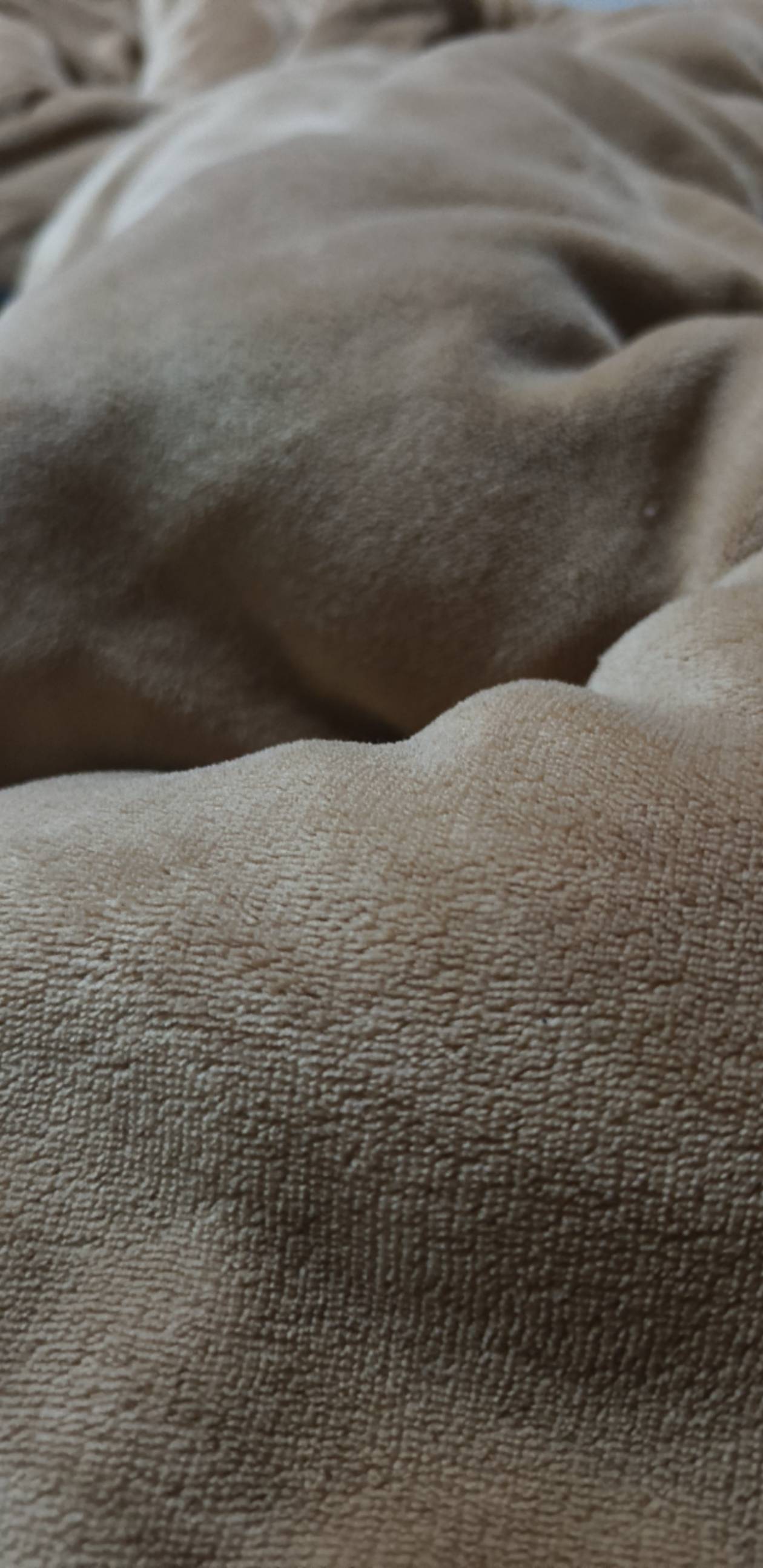 龙体要就寝了，各位咋不向我请安！


40 / 作者:昨日过往 / 