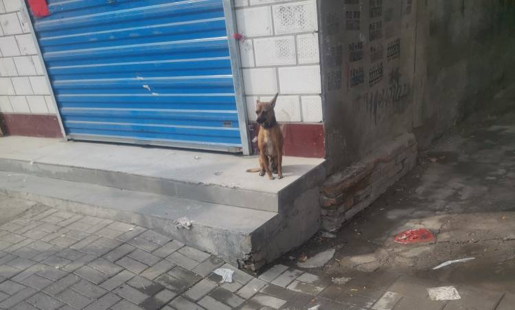 老哥们，倒下了 刚刚跑去肯德基吃了别人剩下的没吃完的骨头和小吃，又去奶茶店要了一5 / 作者:晚肯定 / 