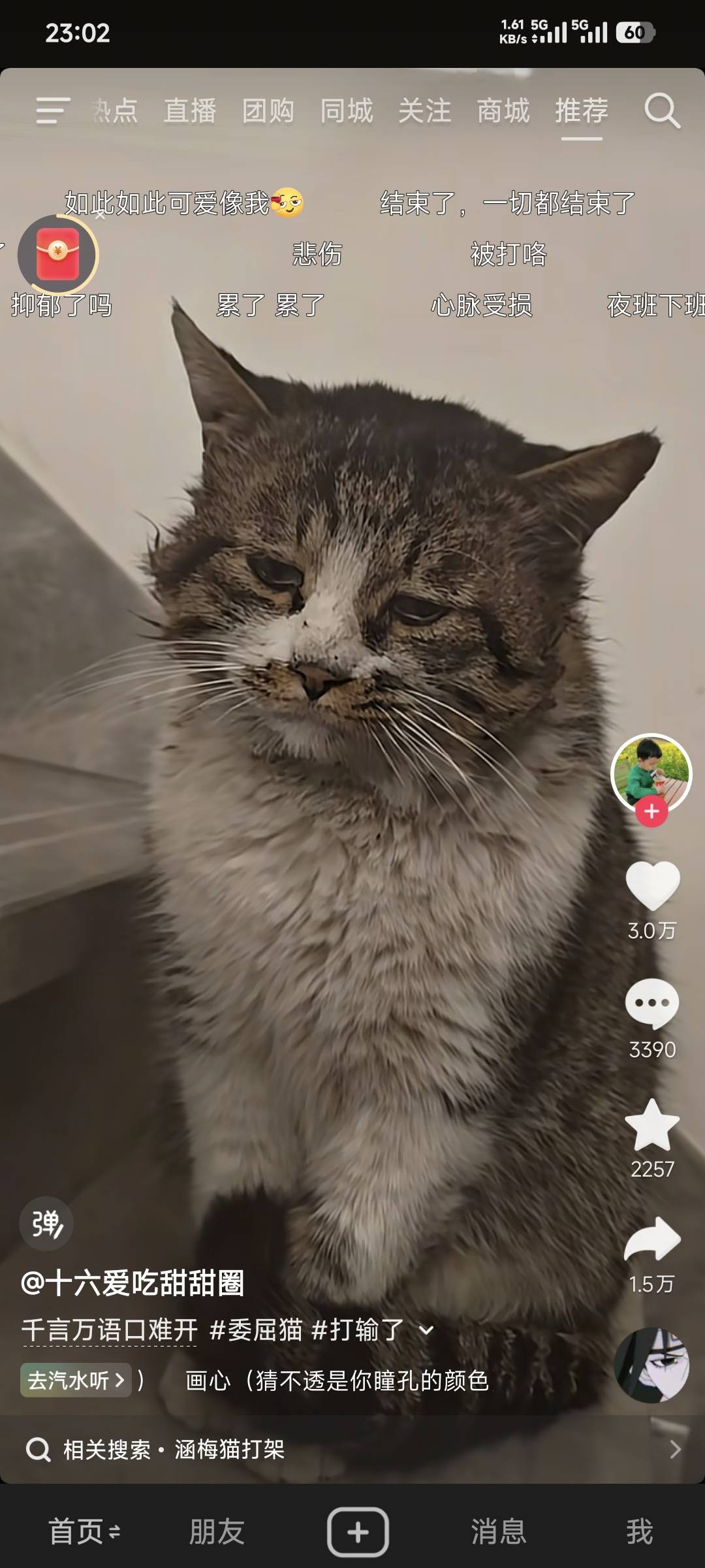 像不像某些老哥？

4 / 作者:卡农豆包 / 