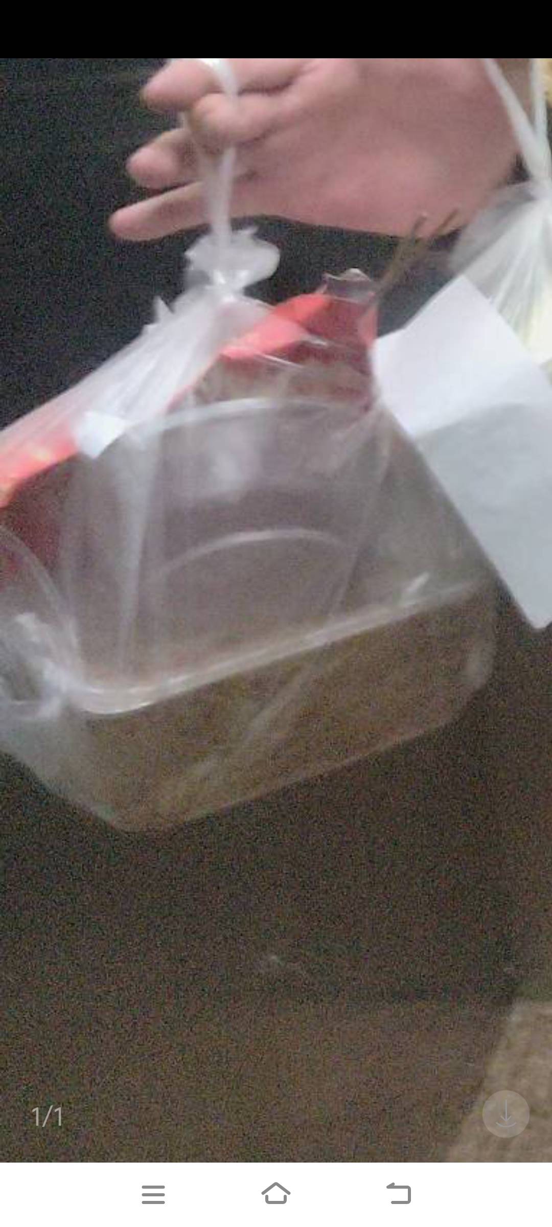 又两单，美滋滋

46 / 作者:先天抽奖欧皇圣体 / 