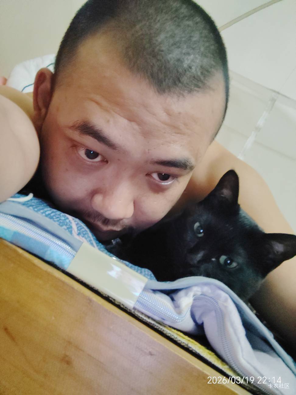 炎热的广东，风扇坏了，没蚊香，睡不着

5 / 作者:朱铁胆 / 