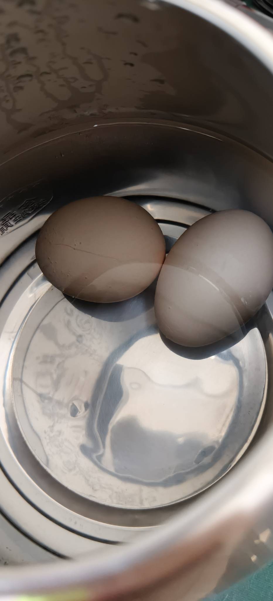 电热水壶煮了两个水煮蛋，今天这样了

61 / 作者:扛不住了老哥们 / 