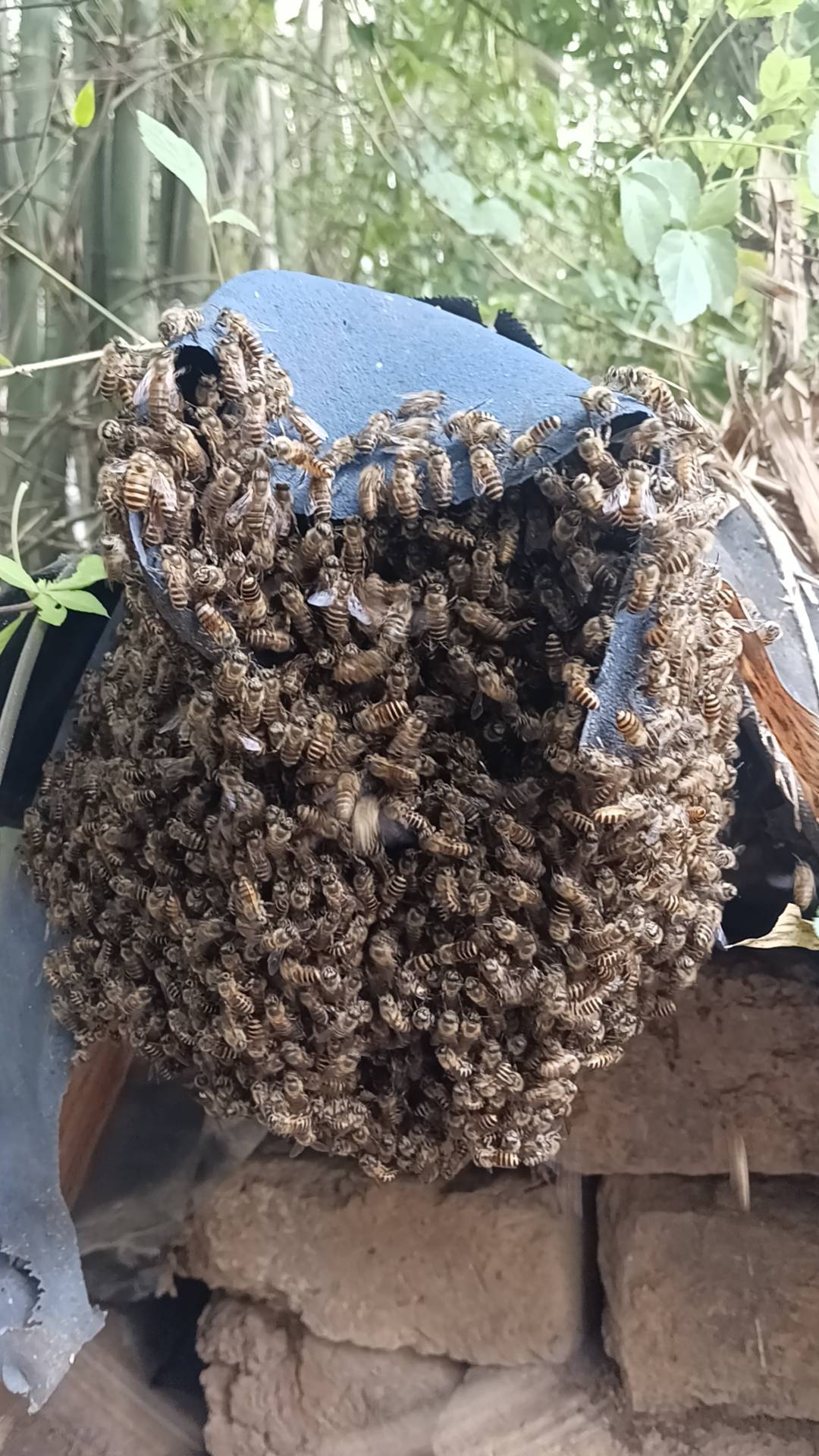 抖音团购优惠卷只能自己吃了吗？几个号都有

64 / 作者:永恒yi / 