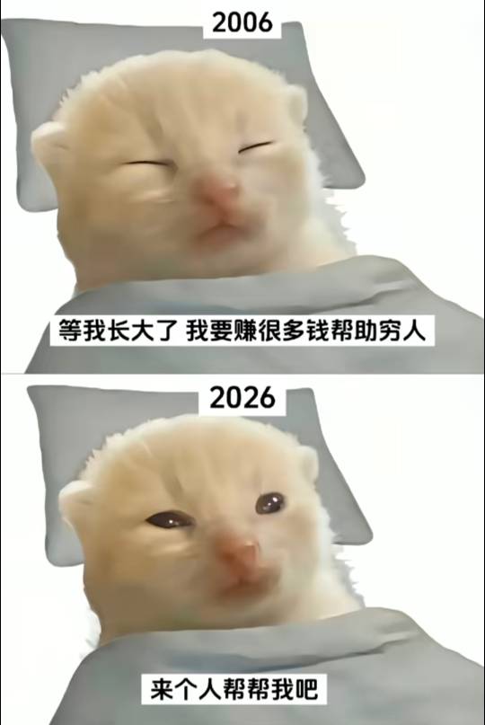 这个人发帖有点像天空鼠，整天说自己24，有点丑，想学技术，是不是天空鼠小号



5 / 作者:假老哥真挂壁 / 