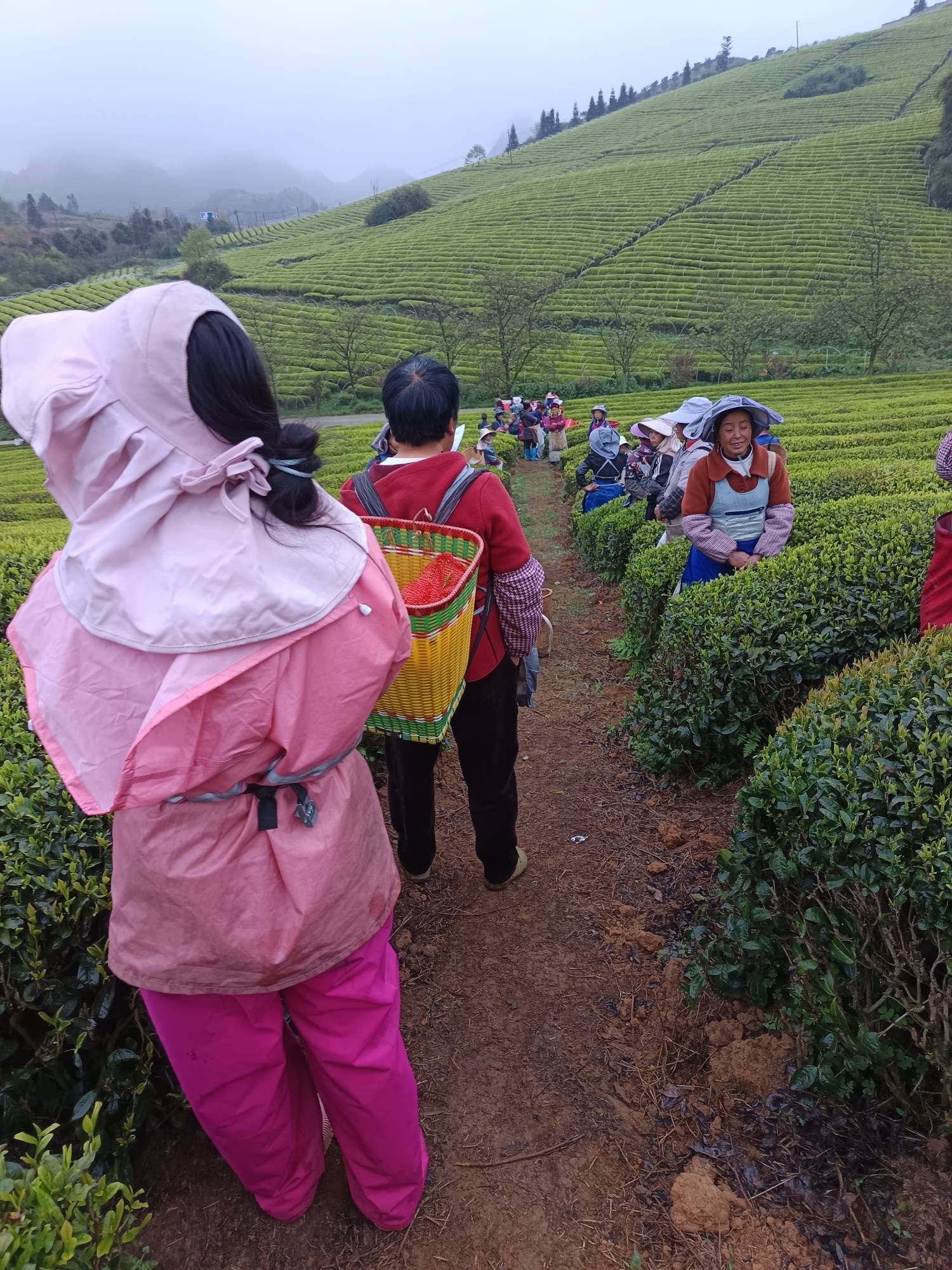 排好队马上开采


77 / 作者:浪花的泡沫、 / 