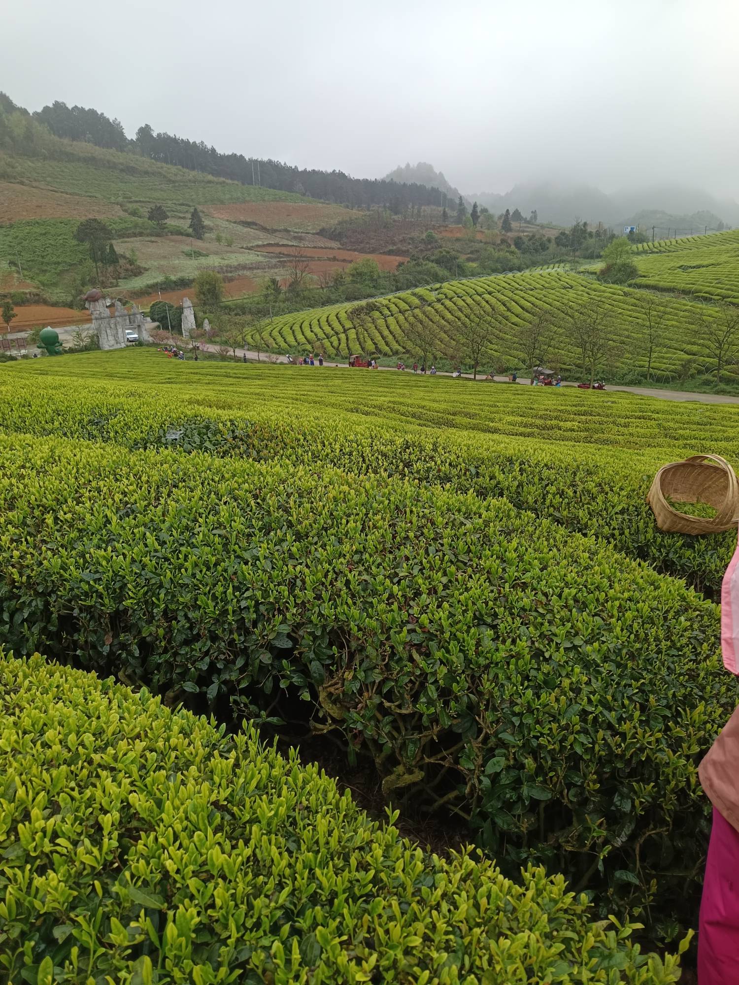 排好队马上开采


11 / 作者:浪花的泡沫、 / 