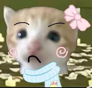 卡农什么时候变乞讨社区了？

90 / 作者:金牌讲师大司马 / 