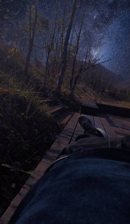 好绝望好想哭，我知道很唐突，有没有眼熟的啵啵，能不能搞20块吃个猪脚饭。这几天没收67 / 作者:鲸鲨 / 