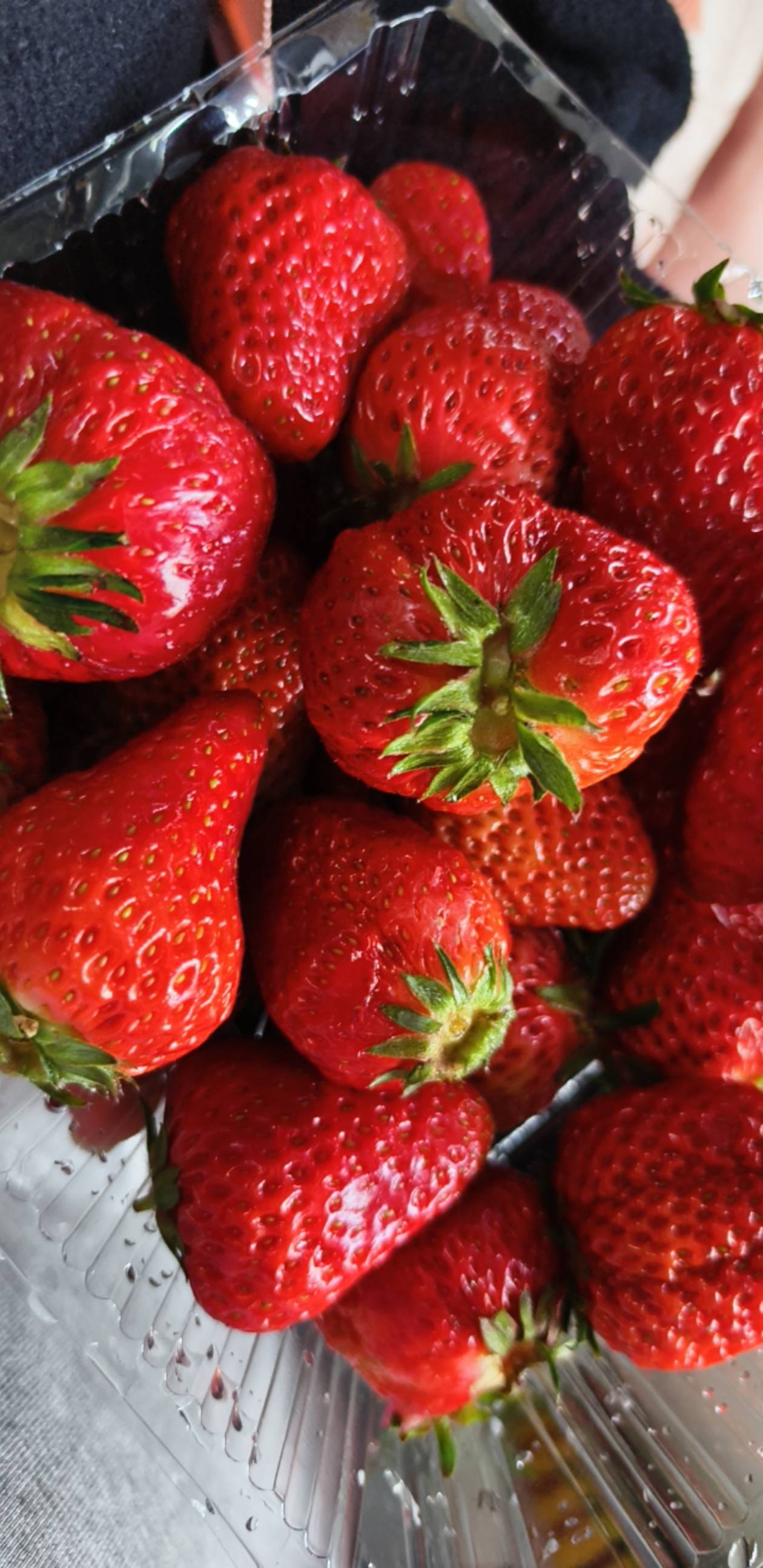 又有钱，又帅气，钱多，对象也多，人咋能这么优秀！唉，太完美了

73 / 作者:昨日过往 / 