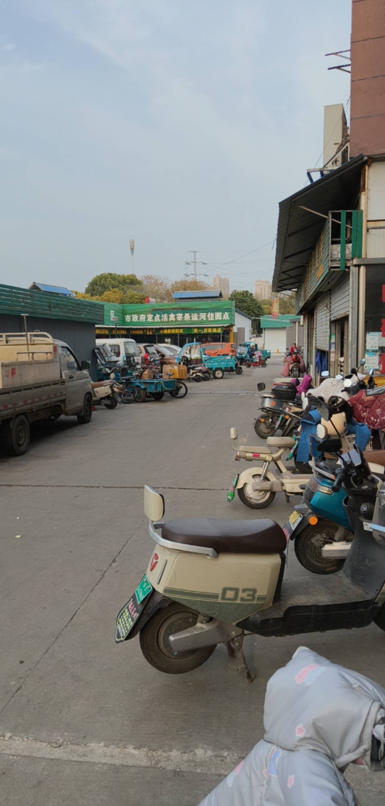 什么坤把毛都没有，想饿死我挂壁仔就不配吃下午茶吗？羊毛人的春天到底在哪里？

85 / 作者:风上 / 