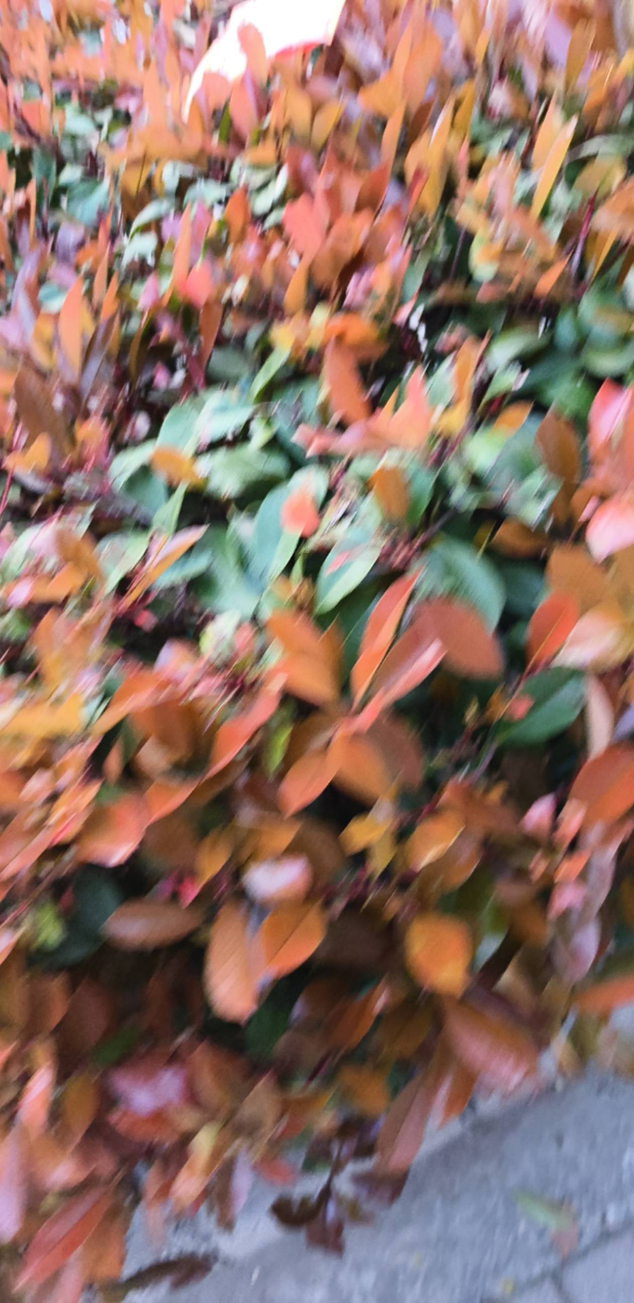 我一天赚30，一个月赚900？我可以成为卡农首富了！我自豪，我骄傲！

63 / 作者:昨日过往 / 