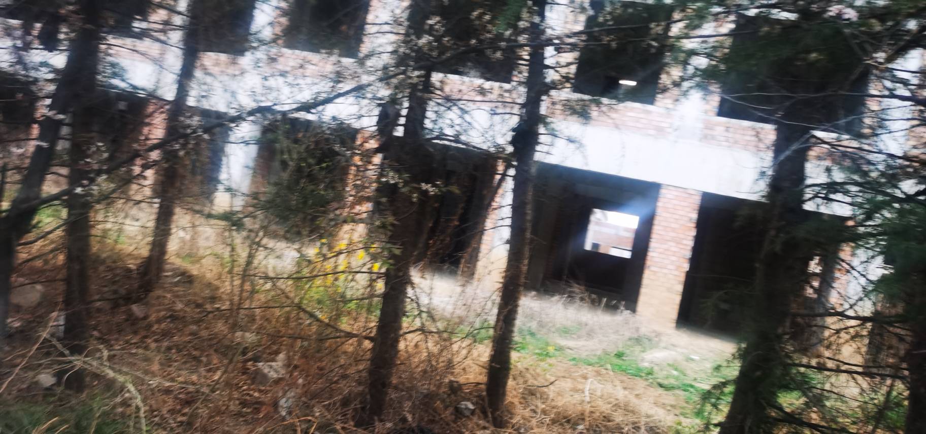 老哥们今晚就住这里了   

23 / 作者:你是土狗 / 