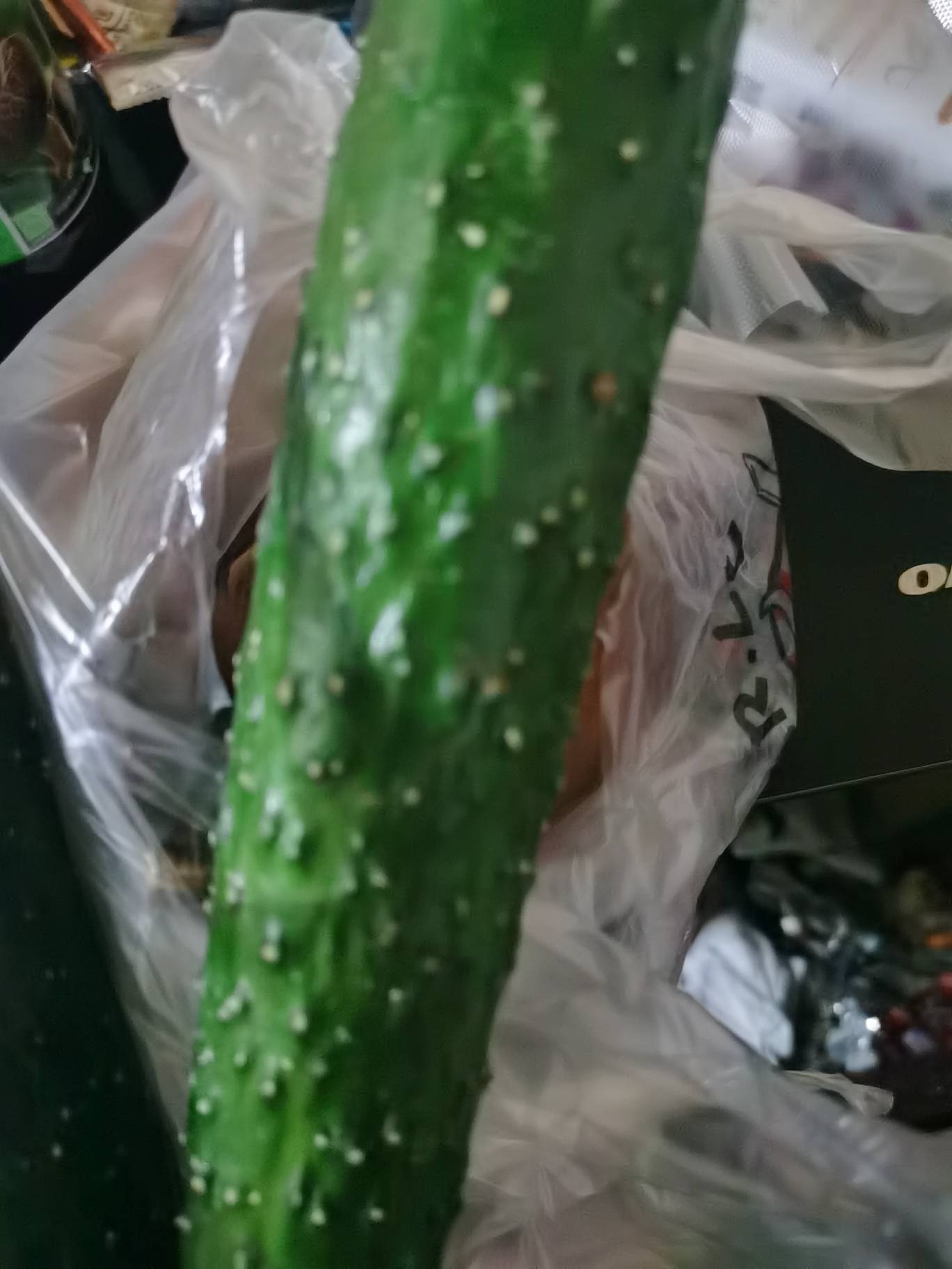 生活不好过，一个人都吃不上4个菜

33 / 作者:哼无缘 / 