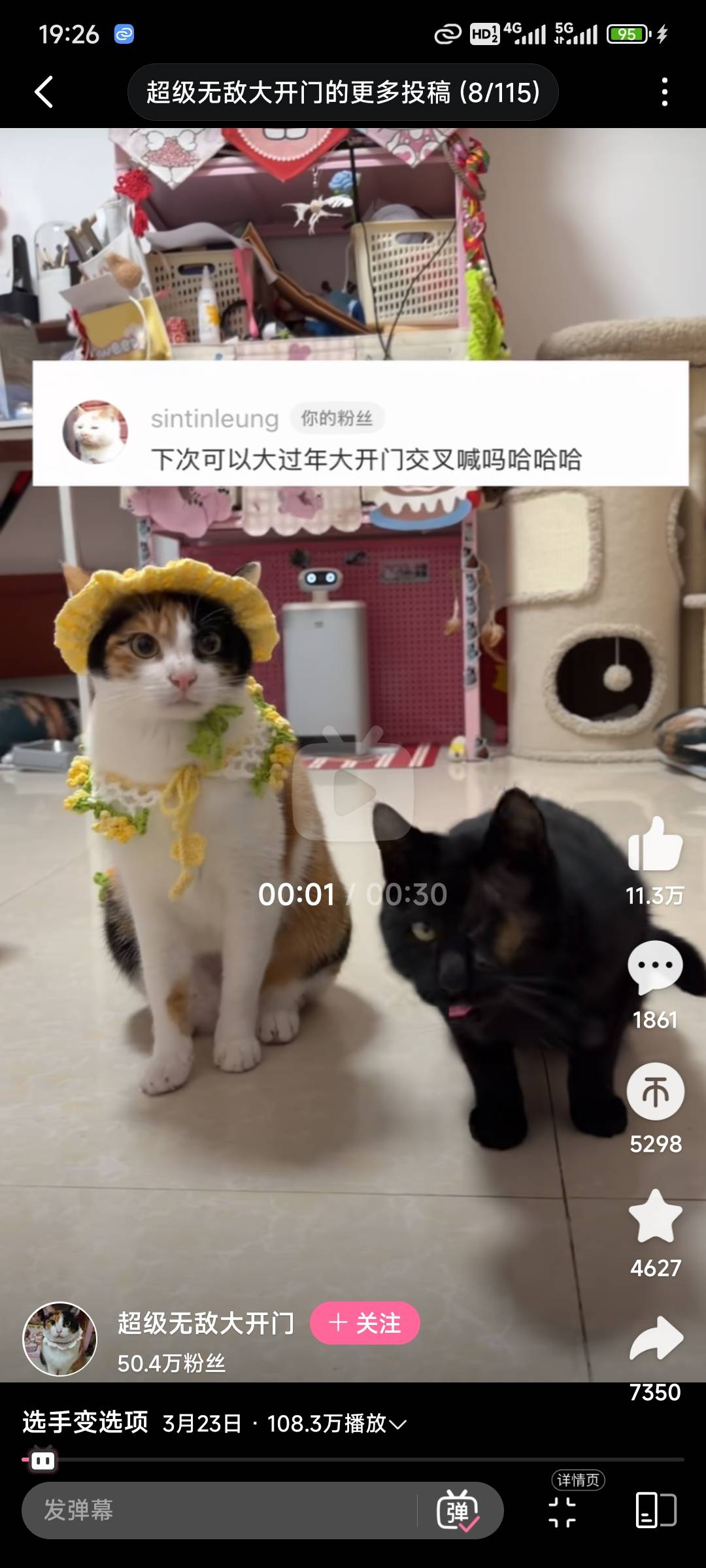 你看人家训练猫只要会简单动作就50万粉丝，老哥们速度买只猫在挂壁房训练起来

21 / 作者:演技墨兰 / 