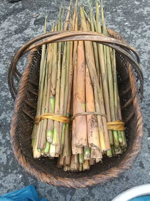 有没有毛？我今天扯竹笋捡菌子

75 / 作者:果然一道 / 