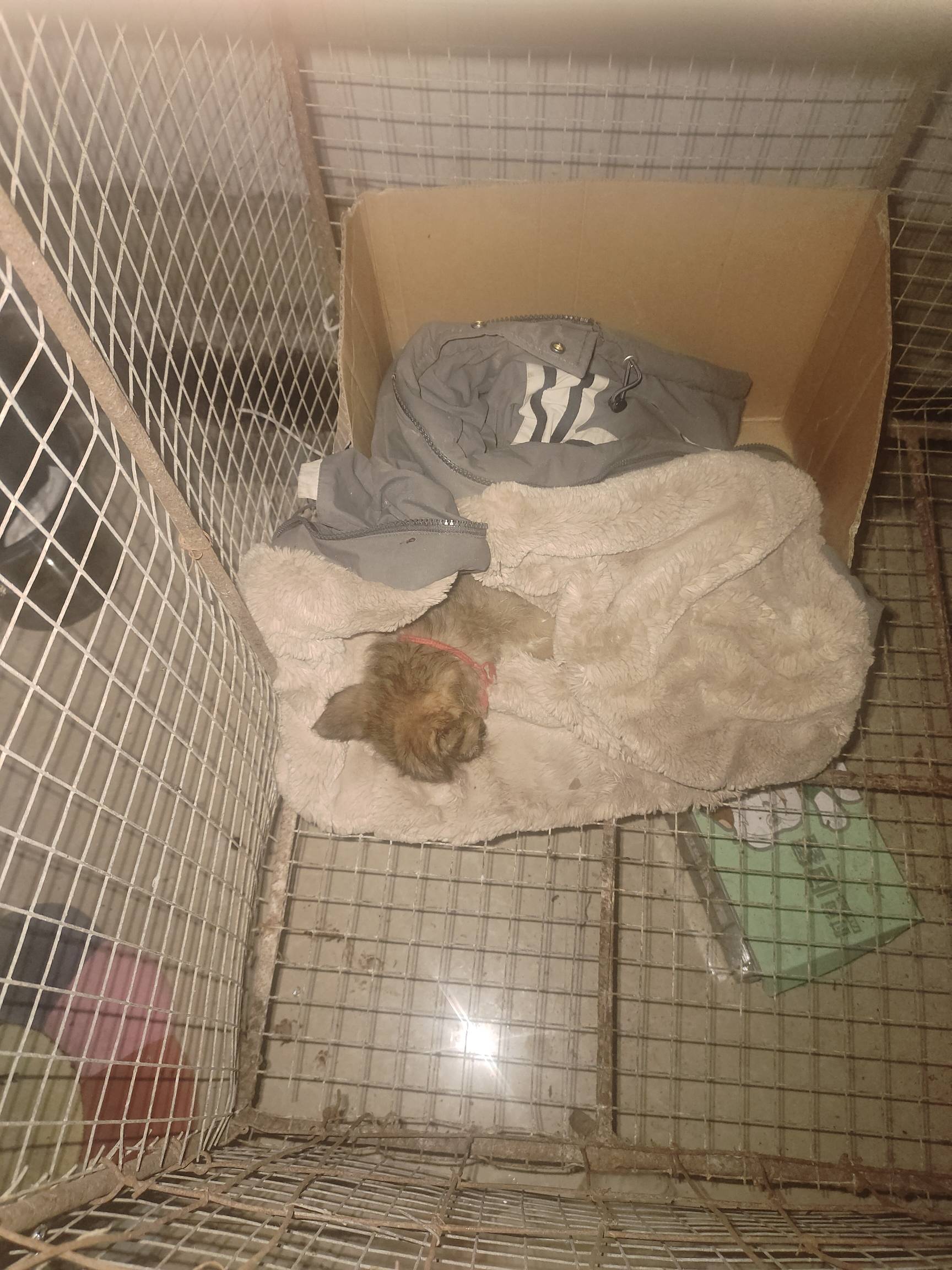 广西昨天很多地方13点左右，几乎一瞬白天变黑昼。

84 / 作者:要辩难辩 / 