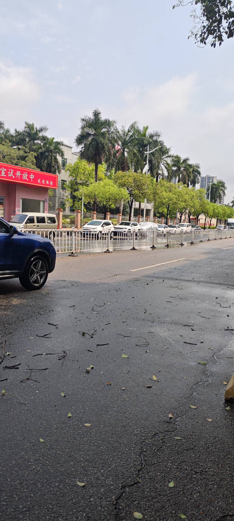 刚刚还是大暴雨大台风，现在就是大太阳

65 / 作者:卡农豆包 / 