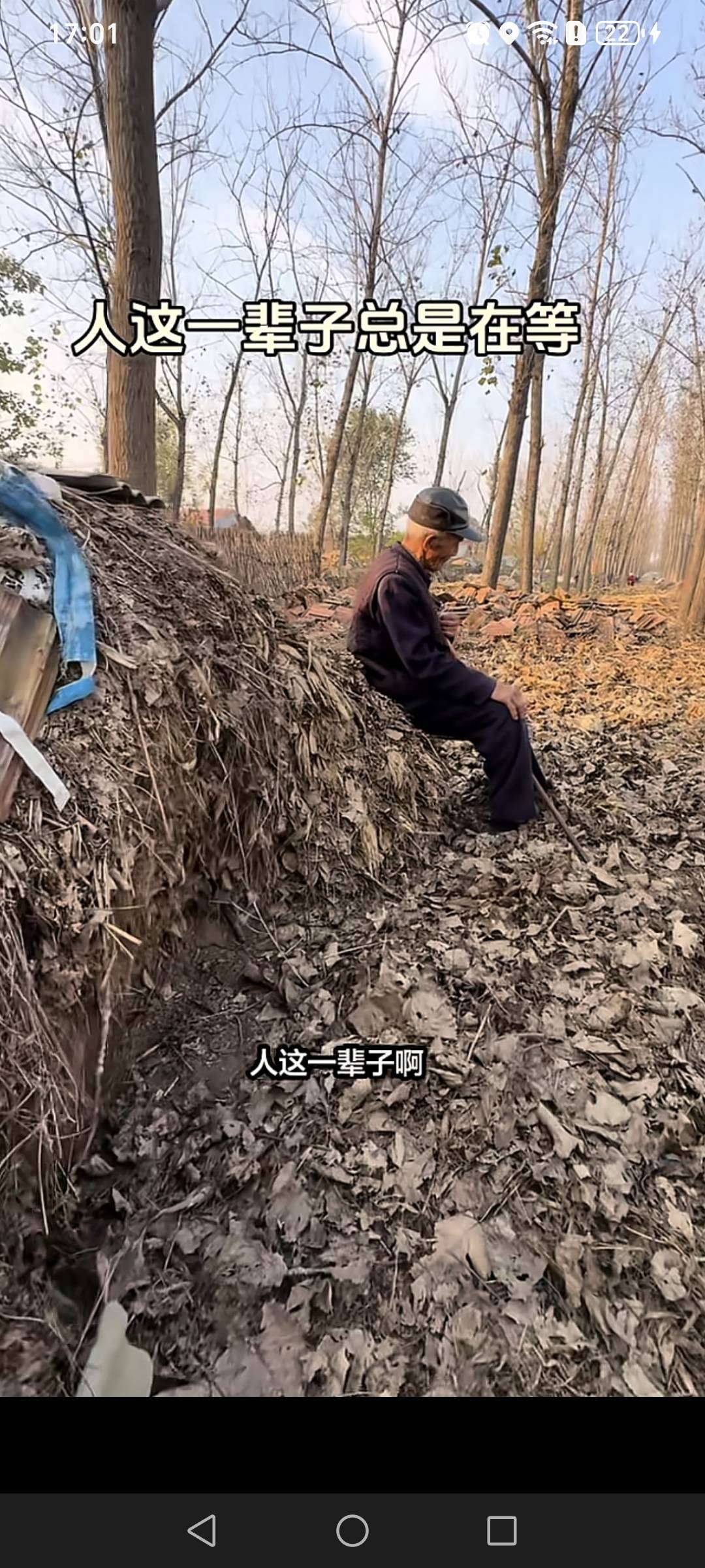 有人问我老了怎么办，老了就这样

84 / 作者:挂比了救我鸭 / 