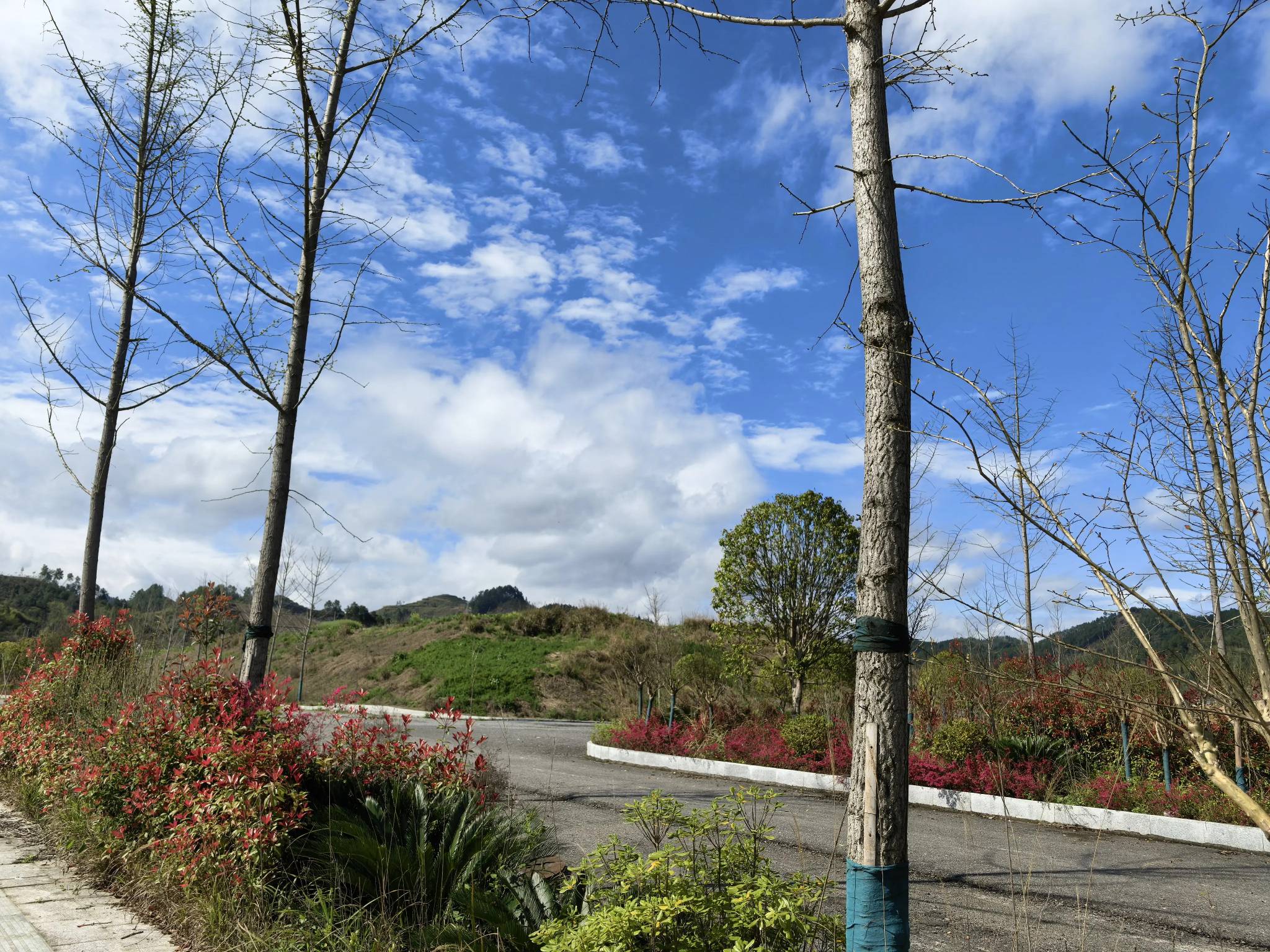 春天到了，又到了万物复苏的季节。

71 / 作者:小谦谦 / 