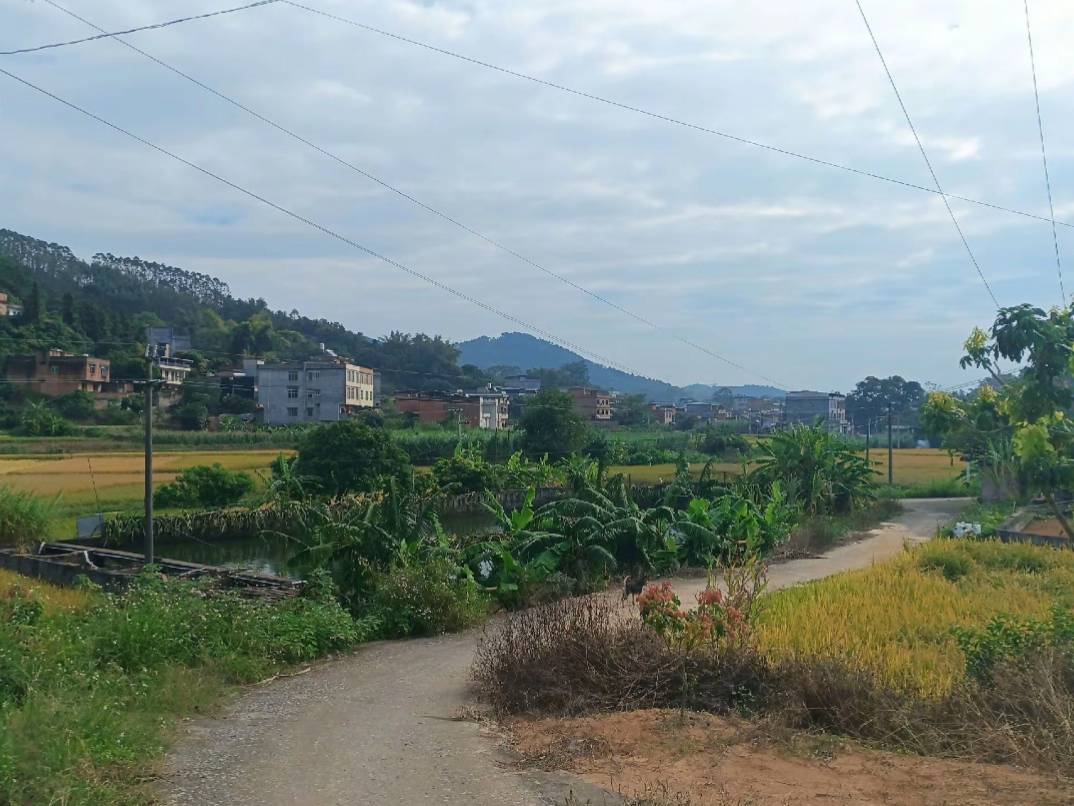 给老哥分享广西钦州农村风景，老哥们别笑话我倒搽门，吃软饭了好吗？新妈家不错，留很93 / 作者:小明同学ya / 