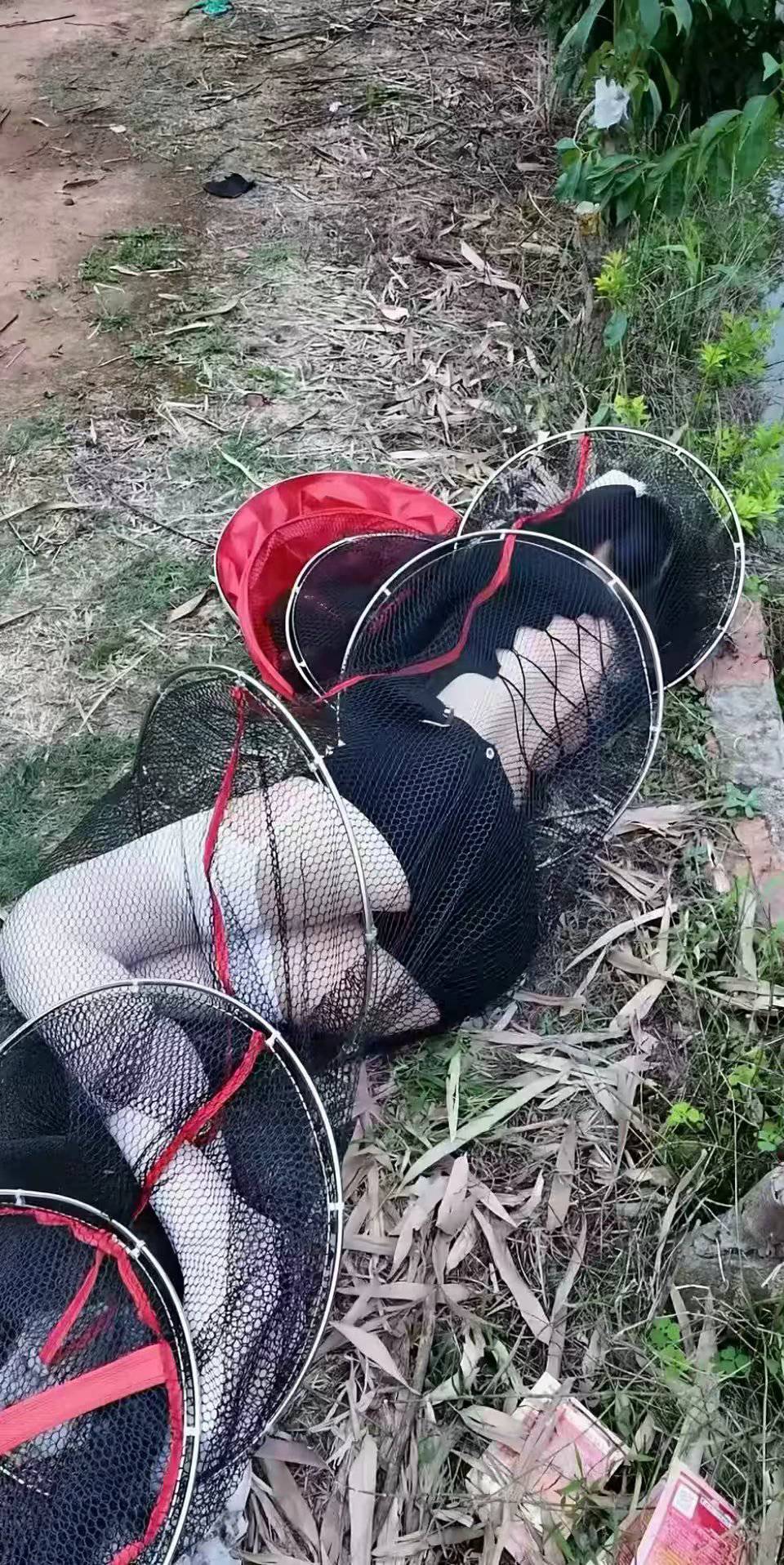 老哥们，广东这地方是真来一次挂一次，豆包跟Deepseek都让我往西走，科学不了那就玄学89 / 作者:卡农最长 / 