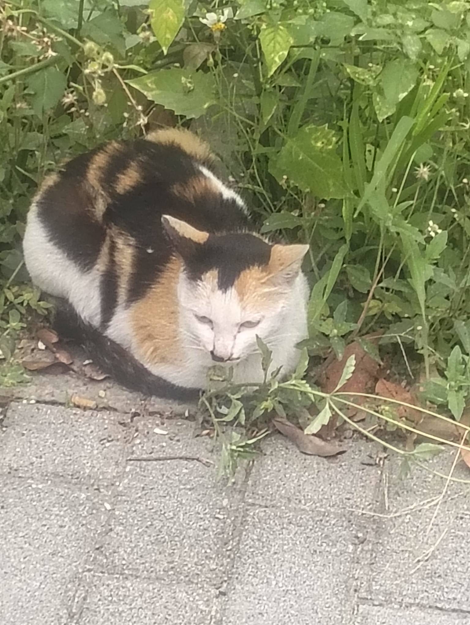 饿醒了，有毛吗

69 / 作者:尛•牛•氓 / 