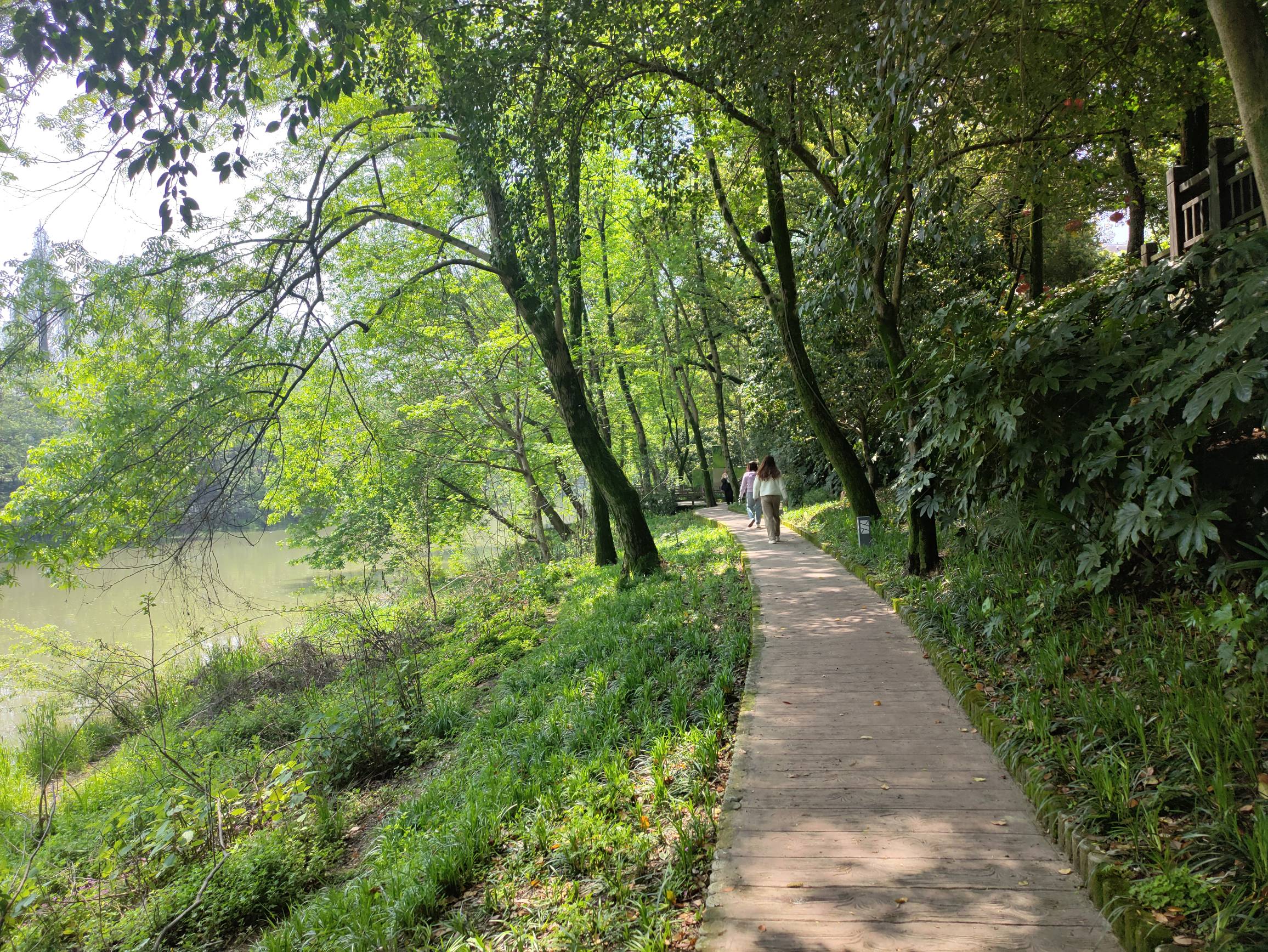老哥们，不在挂比酒店躺着了，出来游山玩水了




98 / 作者:红菜苔 / 