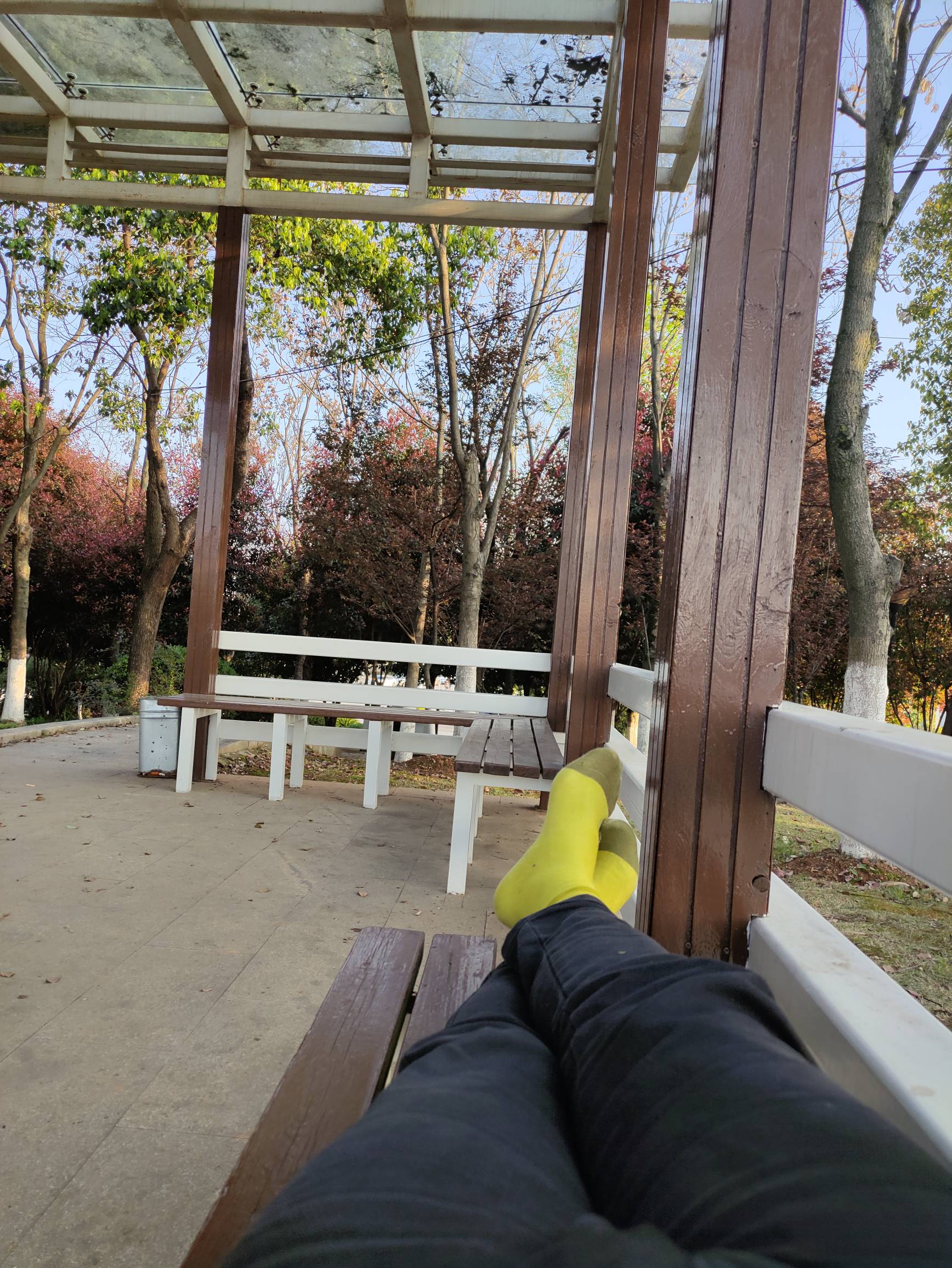 老哥们！过几天就清明了！酒店和青旅啥的涨价那么贵你们都去哪里住
80 / 作者:红菜苔 / 