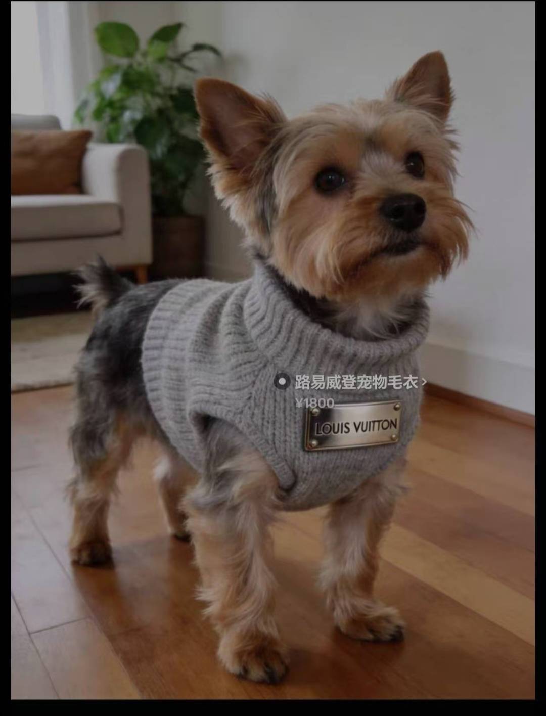 昨晚微众那个老哥中了39999机器人怎么样了，到手半年不用上班了33000随便出



22 / 作者:卡农最后一位帅哥 / 