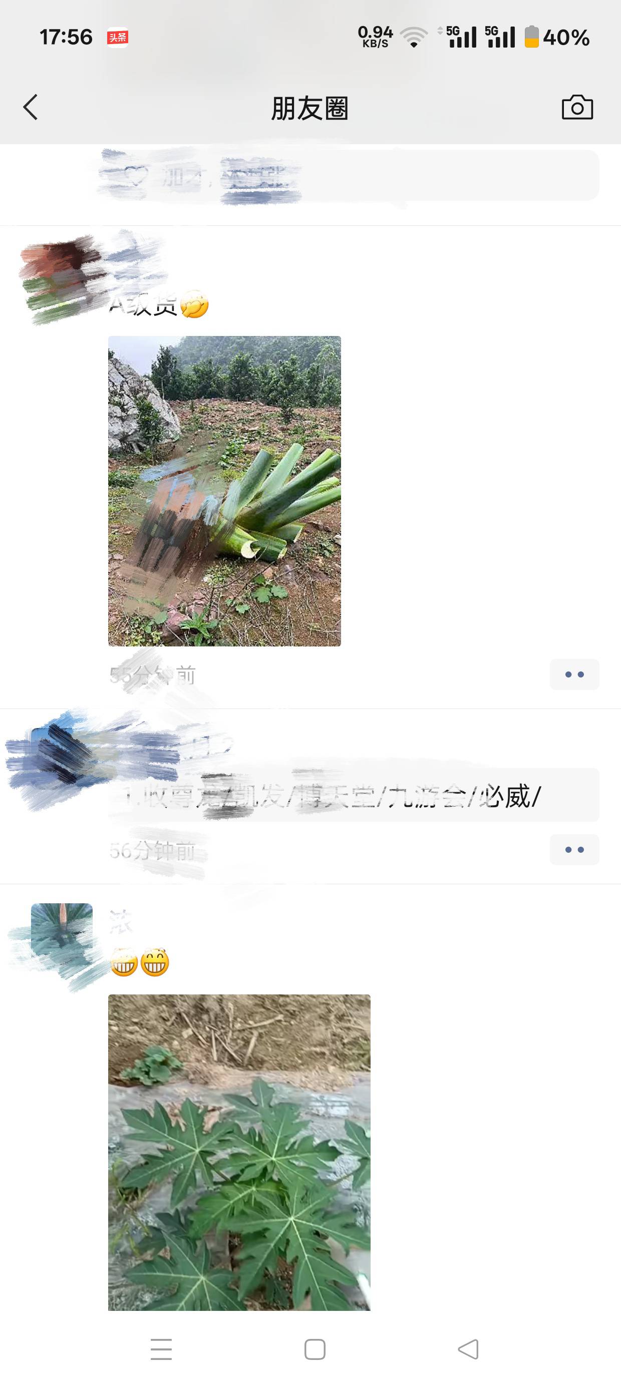 朋友收这个象耳芋在抖音上卖发财了

71 / 作者:马到成功$ / 